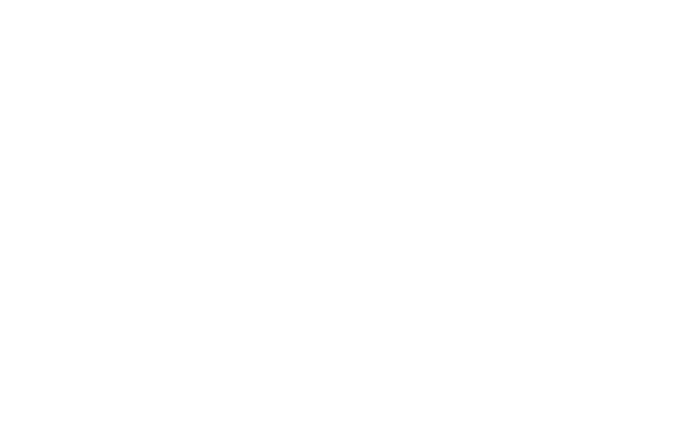 Turja